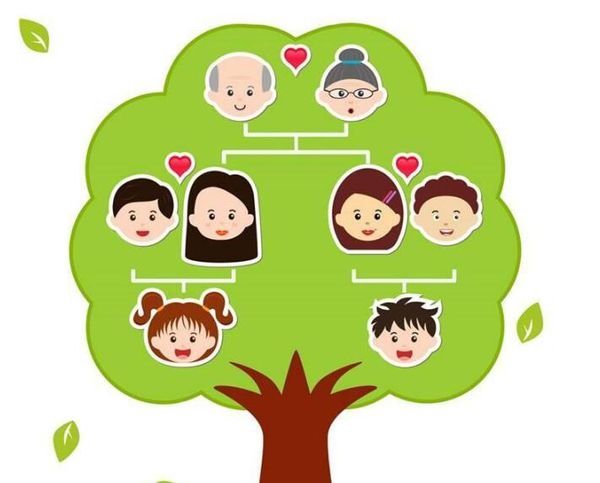 英语家庭树怎么写？