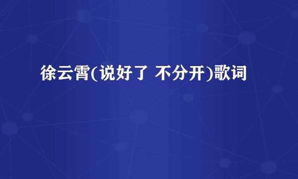 徐云霄(说好了 不分开)歌词