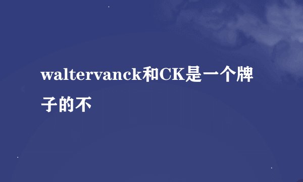 waltervanck和CK是一个牌子的不
