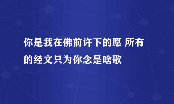 你是我在佛前许下的愿 所有的经文只为你念是啥歌