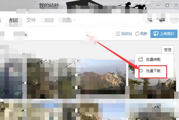 怎么从qq相册批量下载照片