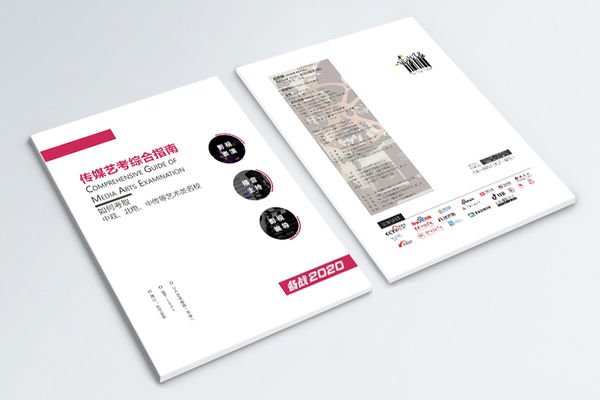 沈阳的艺考机构哪个比较好啊，听说过天影和天籁 唯艺啥的，都怎么样啊？