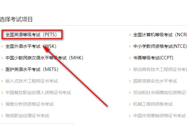 PETS4成绩怎么查询？