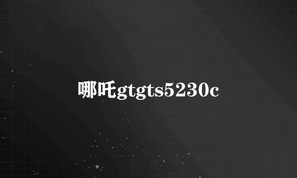 哪吒gtgts5230c