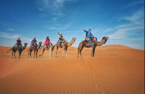 太神奇了！骆驼在撒哈拉沙漠雪中漫步，沙漠都能留下雪花了吗？