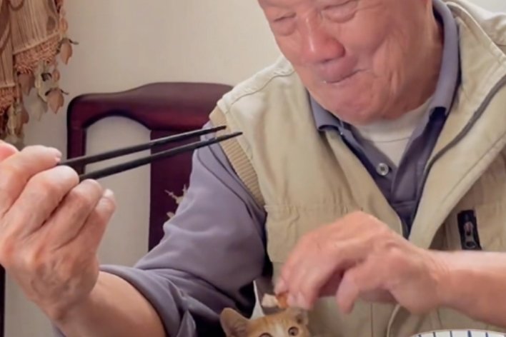 偷偷的拼音是什么