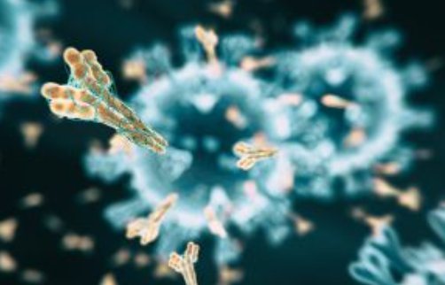 为什么说新冠病毒“毒性”并未减弱？