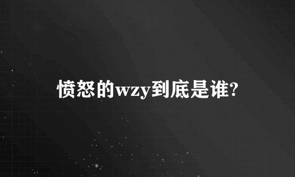 愤怒的wzy到底是谁?