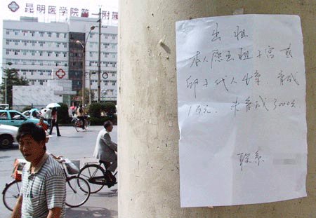 我出租了我的子宫的内容简介