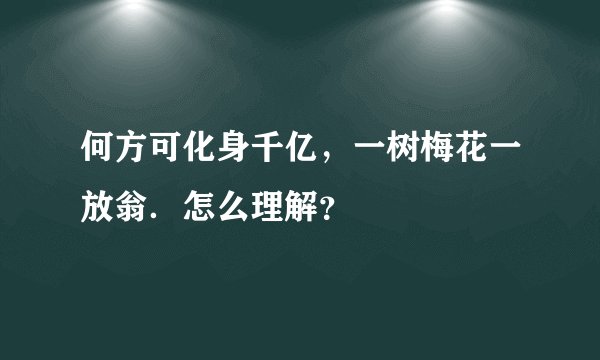 何方可化身千亿，一树梅花一放翁．怎么理解？