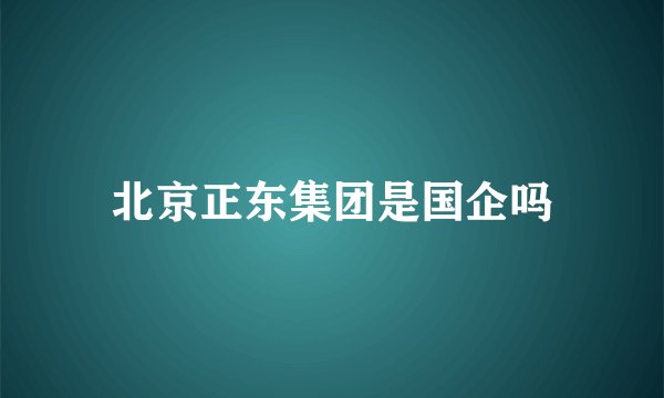 北京正东集团是国企吗