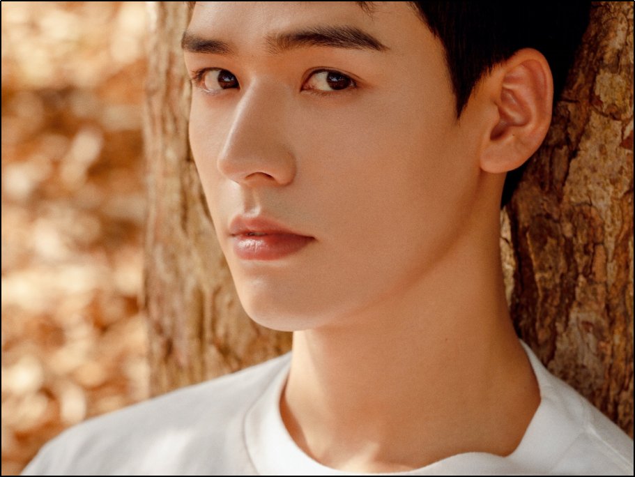 龚俊演过的电视剧