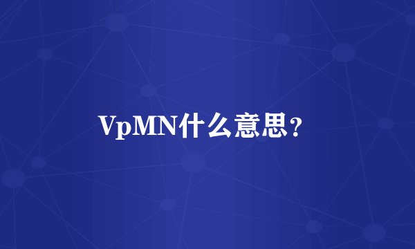 VpMN什么意思？