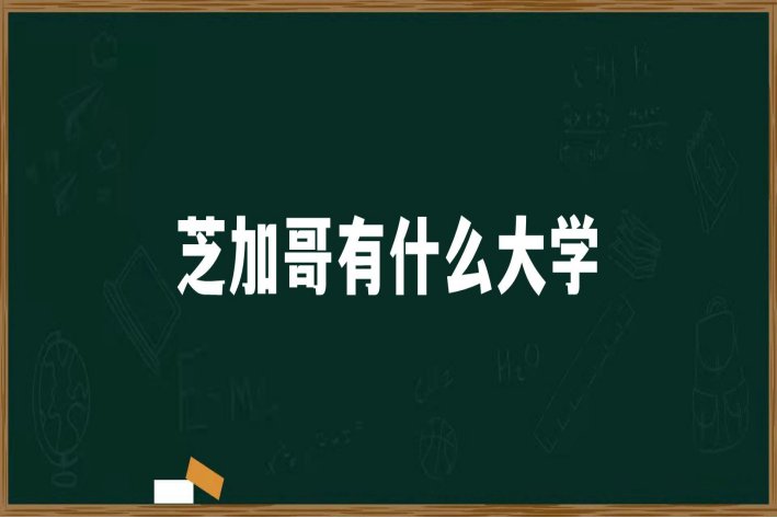 芝加哥有哪些大学