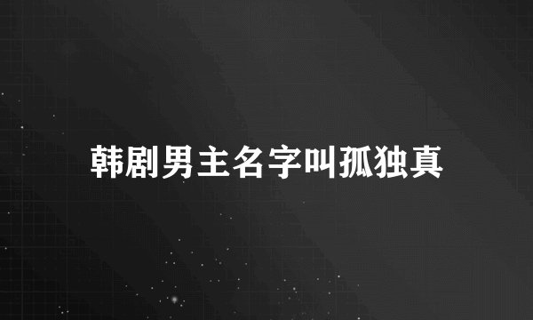 韩剧男主名字叫孤独真