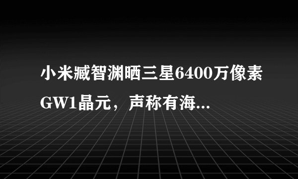 小米臧智渊晒三星6400万像素GW1晶元，声称有海量现货，小米会用这款传感器做新品吗？