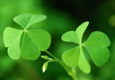 xy是什么意思 网络用语