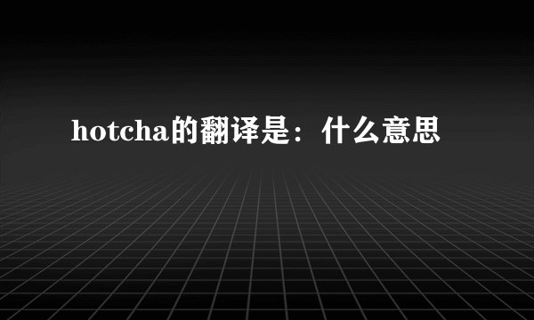 hotcha的翻译是：什么意思