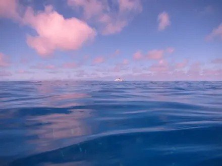 老班长用粗糙的手无力的摸着我的头这样表达的好处