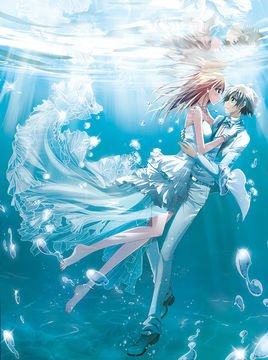 神探肖羽的基本信息