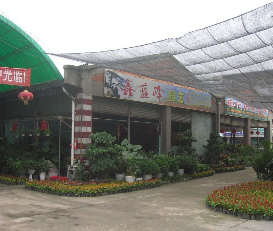 成都有哪些花鸟市场？