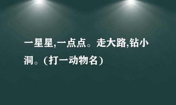 一星星,一点点。走大路,钻小洞。(打一动物名)