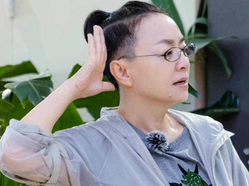 宋丹丹的电视剧大全