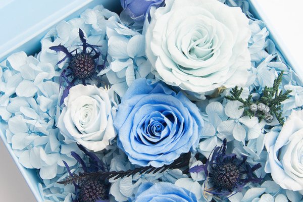 520送什么好呢？