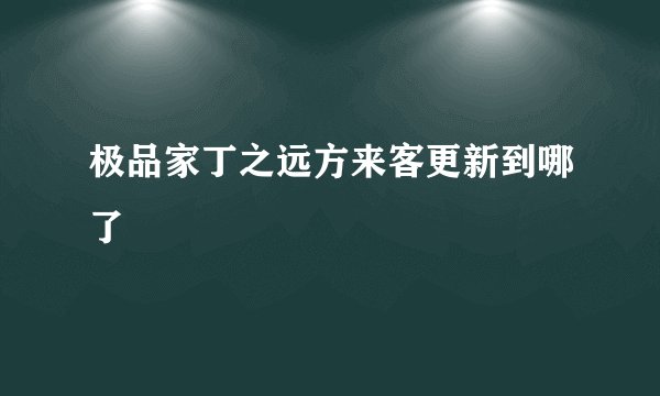极品家丁之远方来客更新到哪了