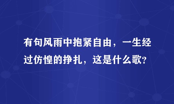 有句风雨中抱紧自由，一生经过仿惶的挣扎，这是什么歌？
