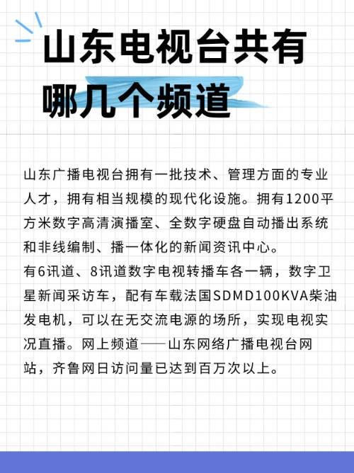 山东电视台共有哪几个频道？