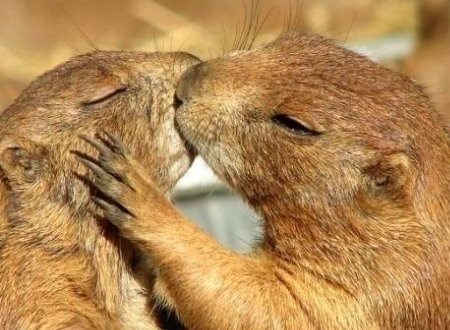 长长久久是什么意思?