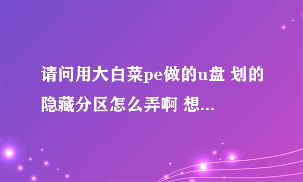 请问用大白菜pe做的u盘 划的隐藏分区怎么弄啊 想删除掉那个pe啊.