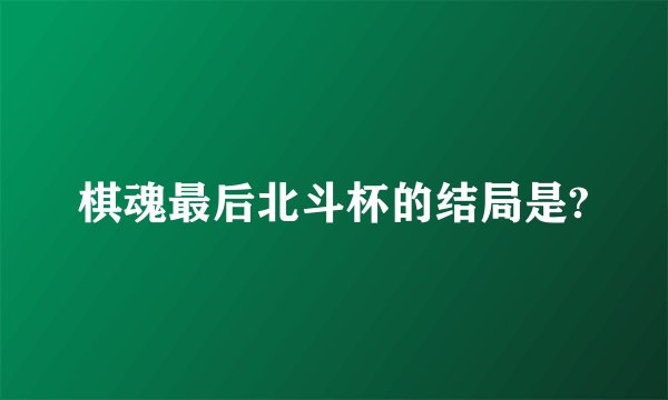 棋魂最后北斗杯的结局是?