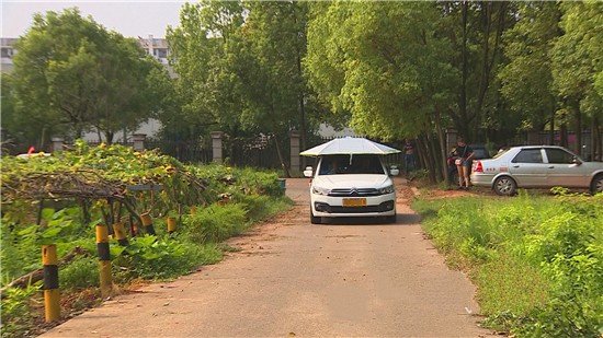 驾校学车费用是多少钱啊？