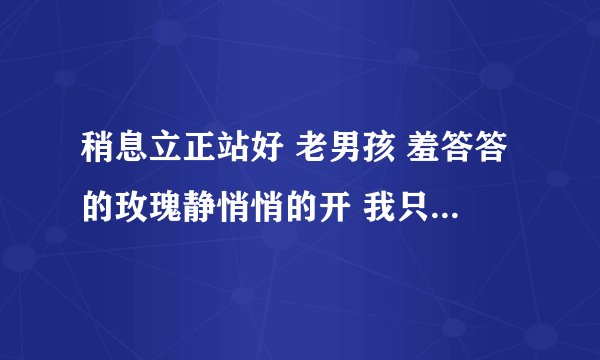 稍息立正站好 老男孩 羞答答的玫瑰静悄悄的开 我只在乎你 我还能孩子多久 各自远洋（扬） 吉他谱
