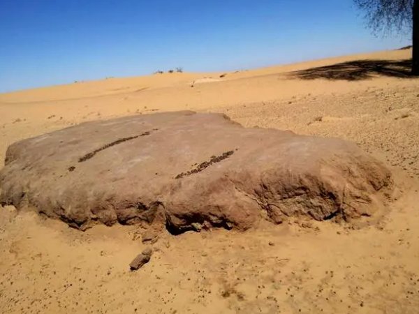 既将消失的沙漠的名字叫什么