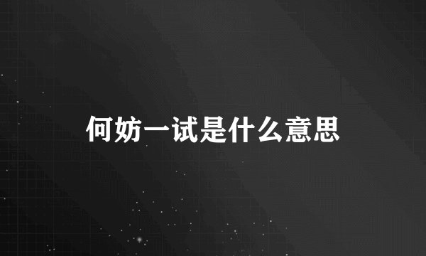 何妨一试是什么意思