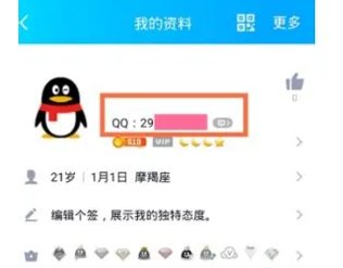 小米手机qq怎么查看密码