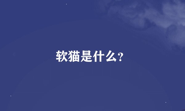 软猫是什么？