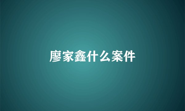 廖家鑫什么案件