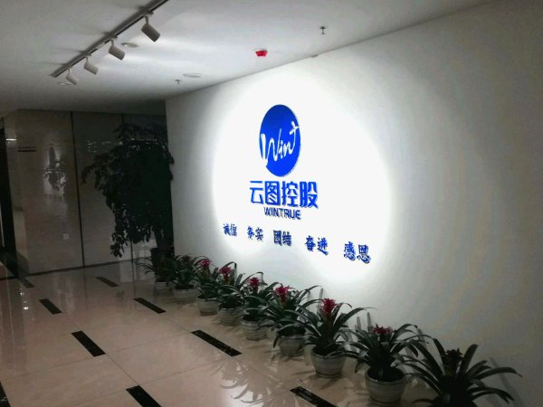 盐的上市公司有哪些