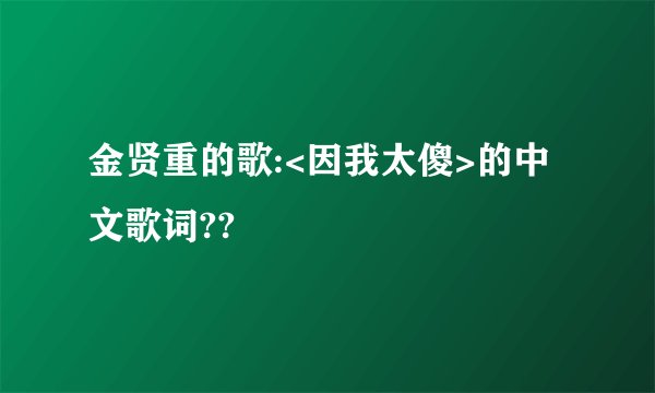 金贤重的歌:<因我太傻>的中文歌词??