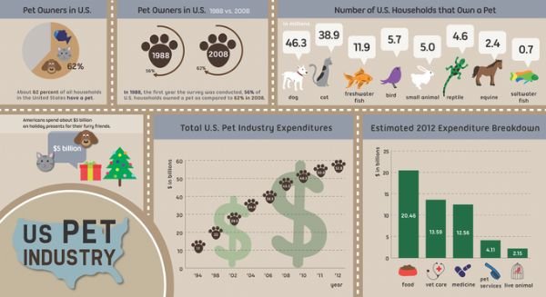 看中国网的介绍