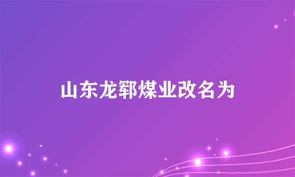 山东龙郓煤业改名为