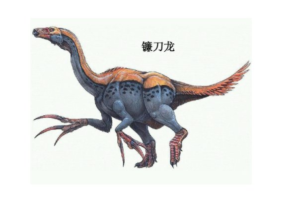 霸王龙怕不怕镰刀龙?