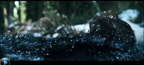 人狼大战最后结局谁赢了