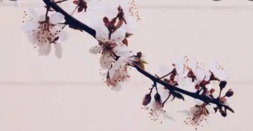 人心齐，泰山移。