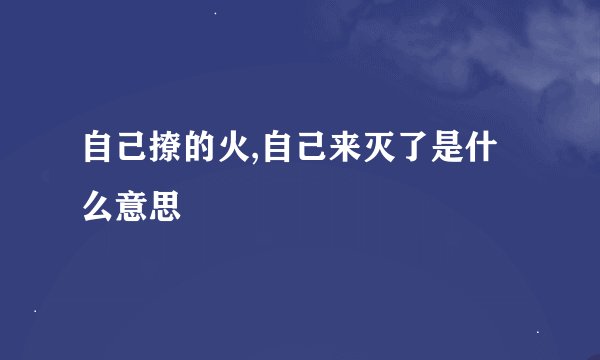 自己撩的火,自己来灭了是什么意思