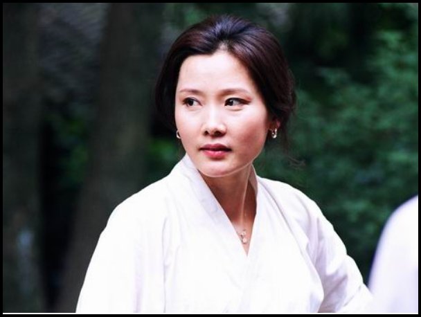 何赛飞演的电视剧有哪些